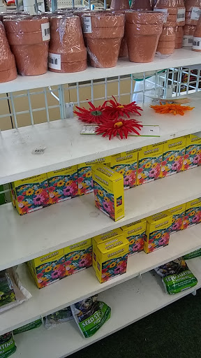 Dollar Store «Dollar Tree», reviews and photos, 6607 Crain Hwy, La Plata, MD 20646, USA