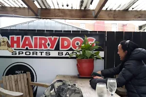 The Hairy Dog Sports Bar image