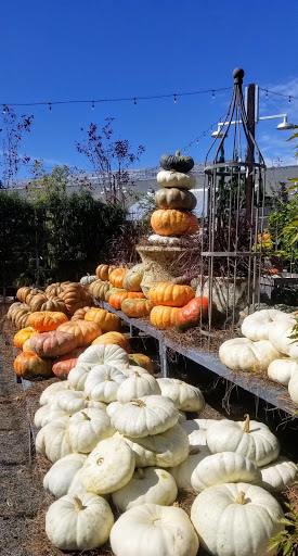 Garden Center «Terrain», reviews and photos, 561 Post Rd E, Westport, CT 06880, USA