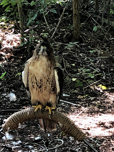 Tourist Information Center «Woodlands Nature Station», reviews and photos, 3146 Silver Trail Rd, Cadiz, KY 42211, USA