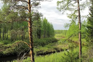 Tunguska State Nature Reserve image