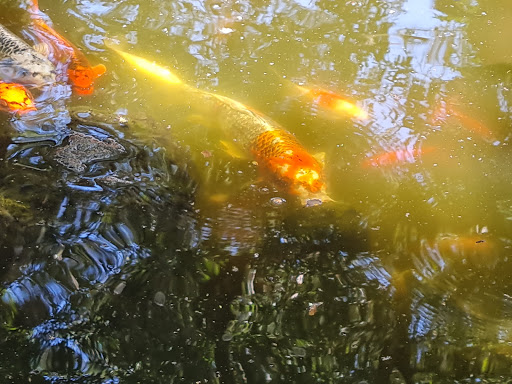 Winery «Whispering Oaks Winery», reviews and photos, 10934 County Rd 475, Oxford, FL 34484, USA