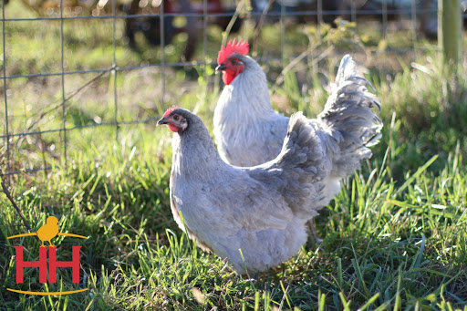 Home Improvement Store «Bloomington True Value Hardware», reviews and photos, 2700 E Covenanter Dr, Bloomington, IN 47407, USA