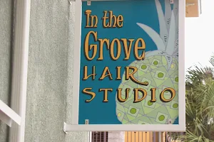 In the Grove Hair Studio image