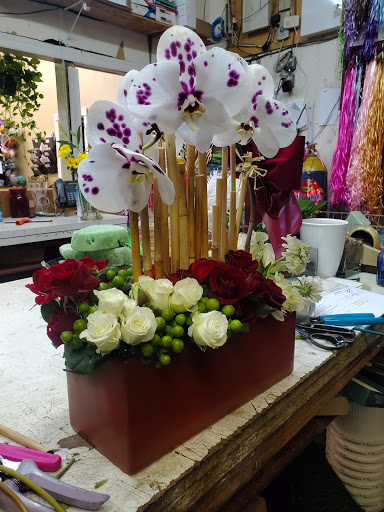 Florist «Blossom Heath Gardens», reviews and photos, 3025 Long Beach Rd, Oceanside, NY 11572, USA