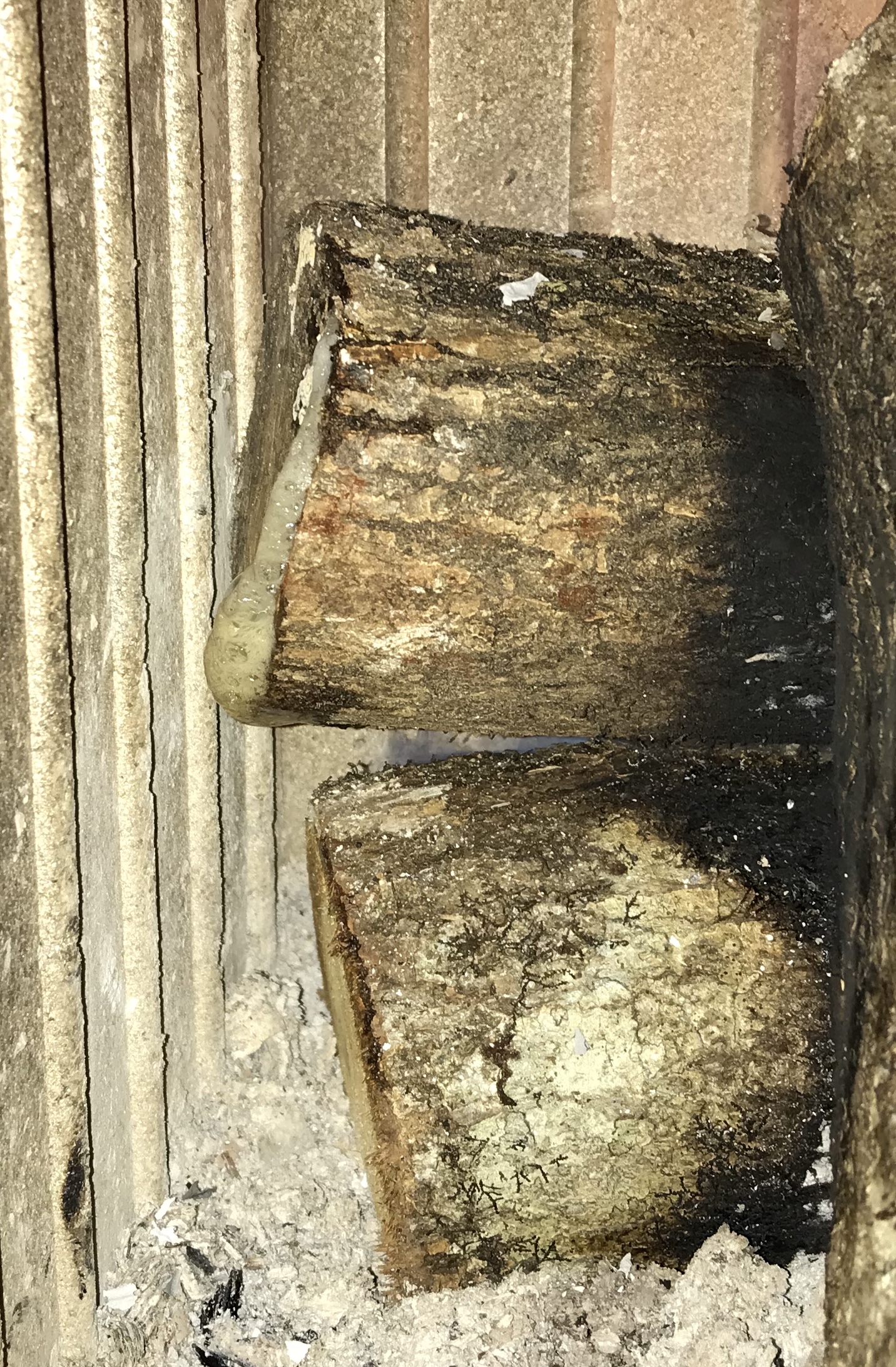 Photo n° 1 de l'avis de Louis.o fait le 30/03/2020 à 19:17