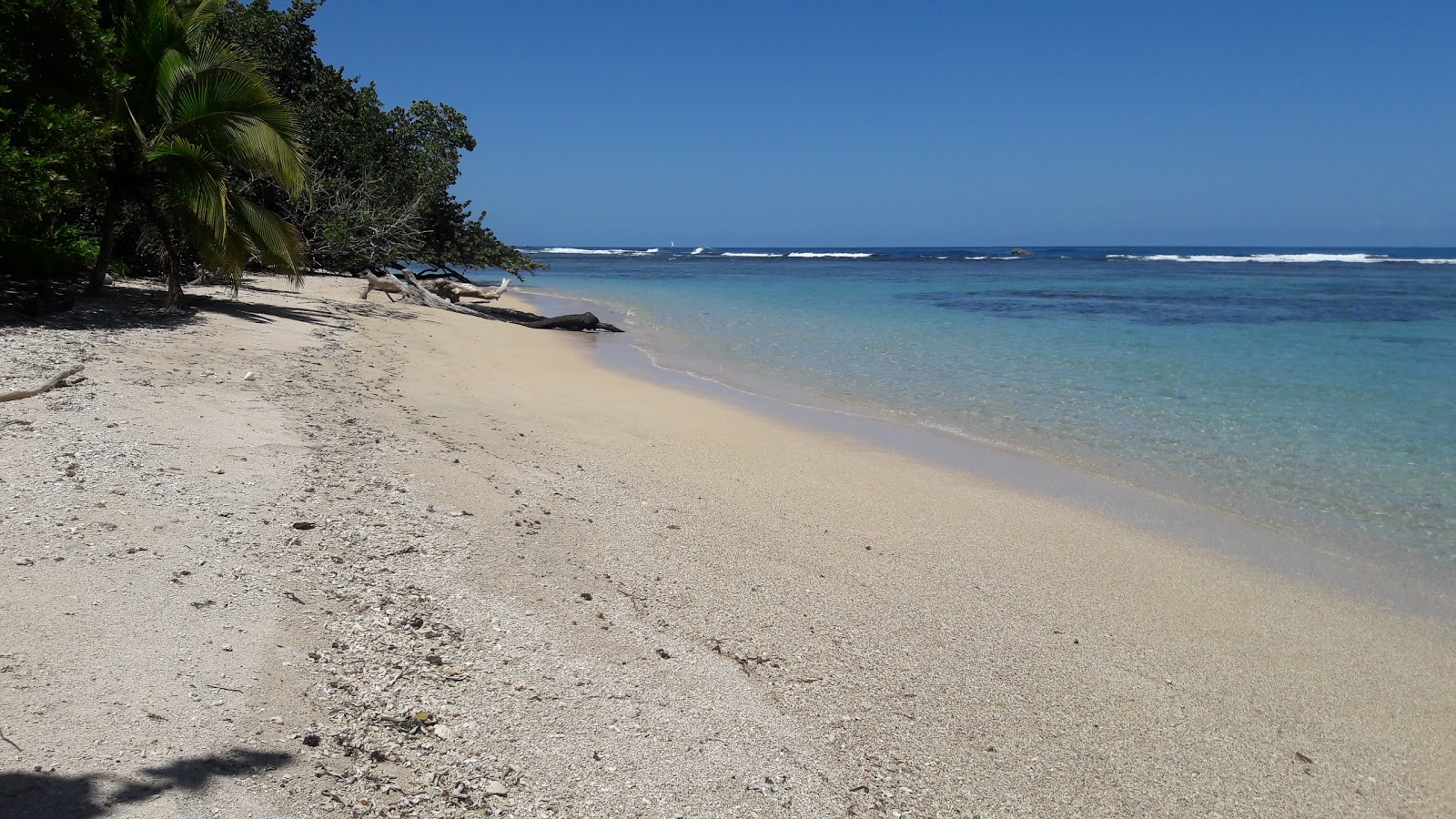 Polo Beach 🏖️ Old Bank, Bocas del Toro, Panama - gedetailleerde kenmerken,  kaart, foto's, image size:1600x900