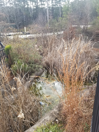 Amusement Park «Mountasia», reviews and photos, 175 Ernest W Barrett Pkwy NW, Marietta, GA 30066, USA