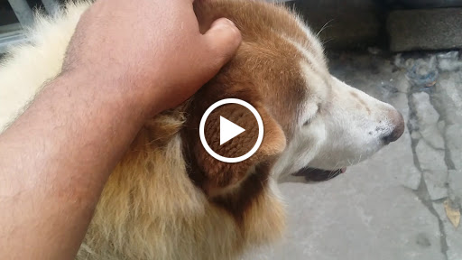 117 Water St, Lawrence, MA 01841, USA