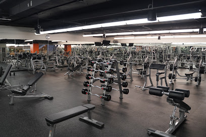 Lakeshore Sport & Fitness - 211 N Stetson Ave, Chicago, IL 60601