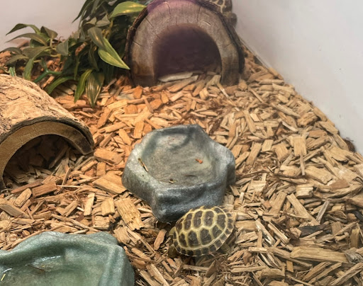 Pet Store «Pets & Such», reviews and photos, 3680 3500 S, West Valley City, UT 84120, USA