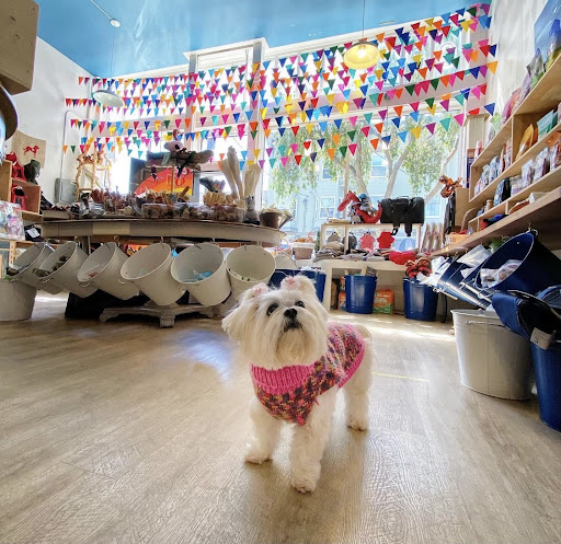 Pet Supply Store «Cole Valley Pets», reviews and photos, 910 Cole St, San Francisco, CA 94117, USA