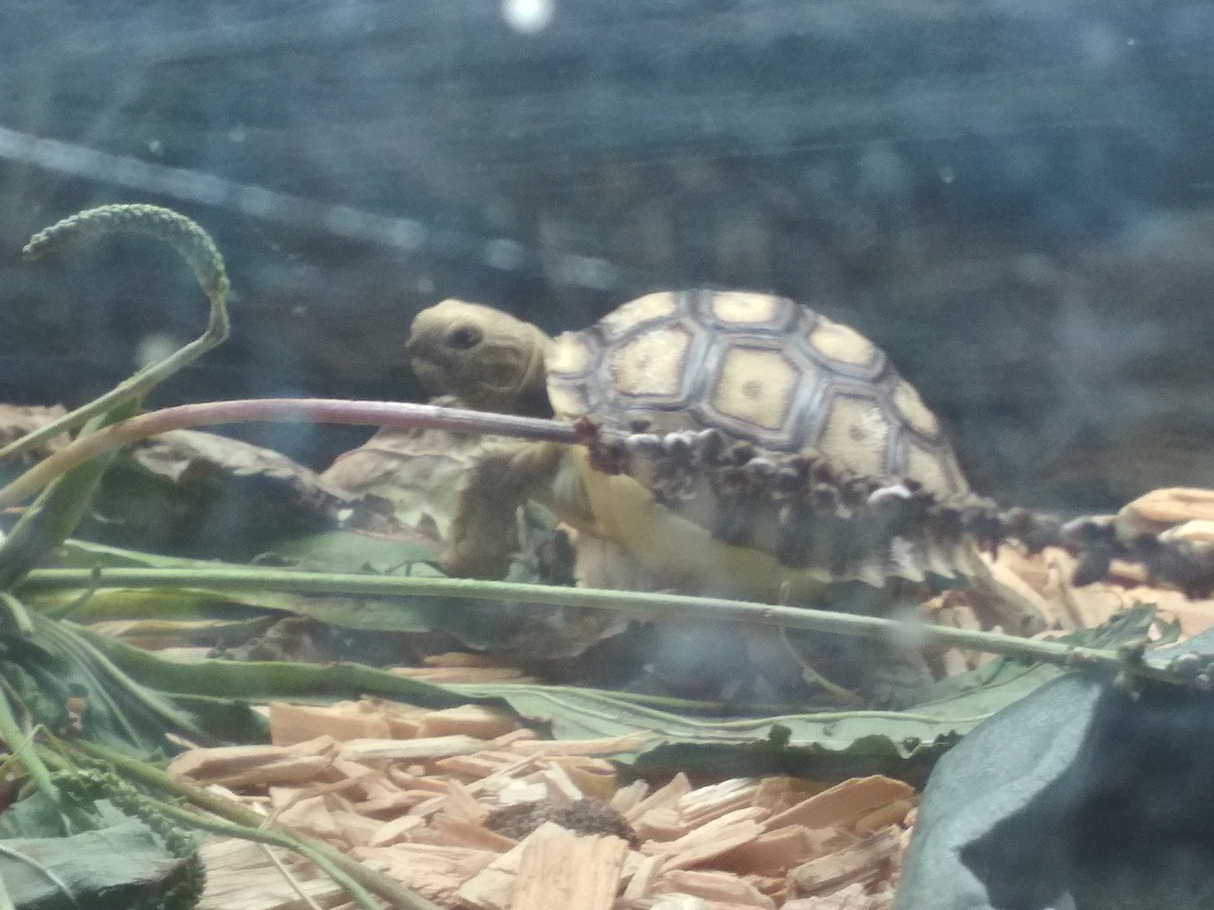 Photo n° 1 de l'avis de GpsGirl.r fait le 22/08/2020 à 12:49