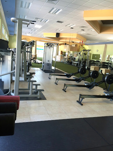 110 Holland Ln, Lutz, FL 33548, USA