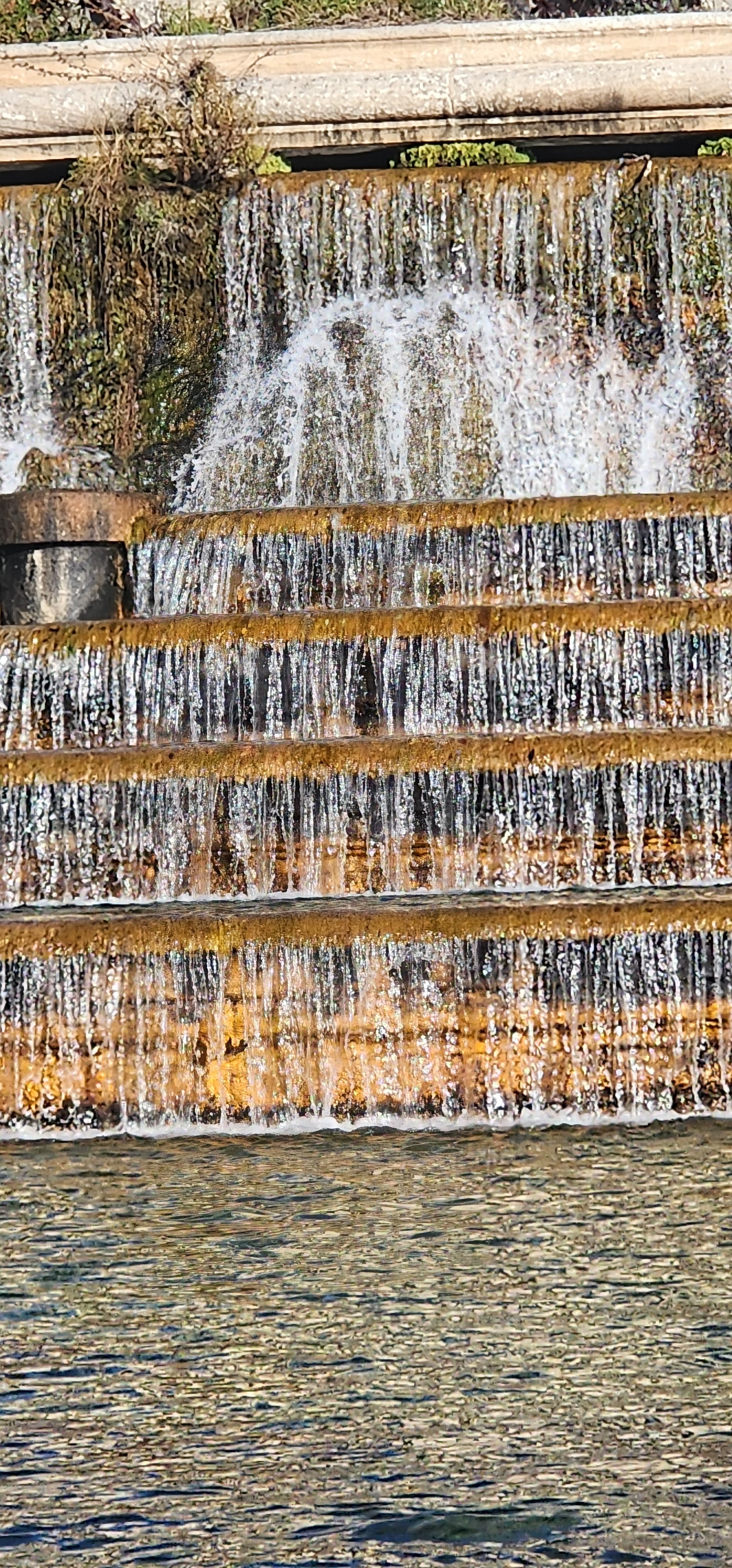 Photo n° 4 de l'avis de Rita.s fait le 29/11/2023 à 16:51