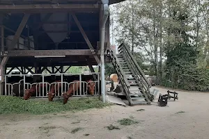 Farm shop on Michaelshof image