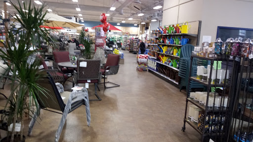 Ace Hardware of La Crescenta image