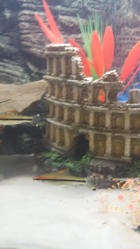 Pet Store «Henderson Pets», reviews and photos, 1504 S Green St, Henderson, KY 42420, USA