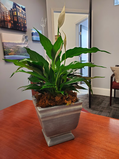 Insurance Agency «Robert Overby - State Farm Insurance», reviews and photos