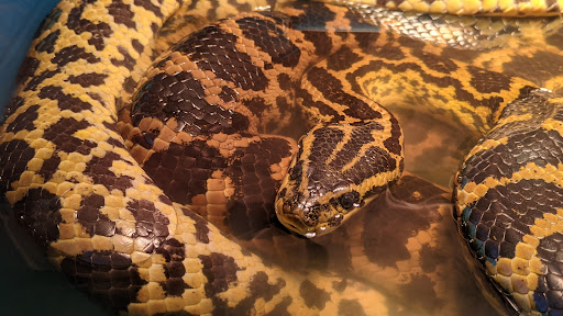 Pet Store «Ponds & Plants», reviews and photos