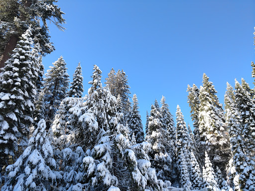 General Store «Fish Camp General Store», reviews and photos, 1191 CA-41, Fish Camp, CA 93623, USA