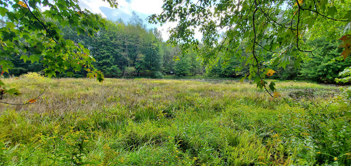 Nature Preserve «Beaver Meadow Audubon Center», reviews and photos, 1610 Welch Rd, Java Center, NY 14082, USA