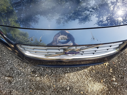 Auto Body Shop «Town & Country Automotive Inc», reviews and photos, 5110 George Rd, Tampa, FL 33634, USA