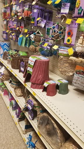 Pet Supply Store «PetSmart», reviews and photos, 8210 Macedonia Commons Blvd #10, Macedonia, OH 44056, USA