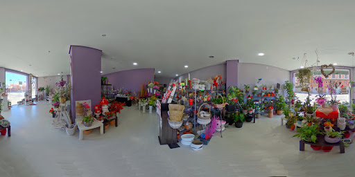 Street View y 360°