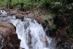 Kottappara Monsoon waterfalls image