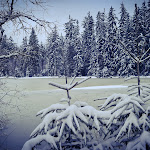 Photo n°4 de l'avis de Berry.e fait le 08/01/2022 à 20:04 sur le  Waldrasthaus Karches à Bischofsgrün