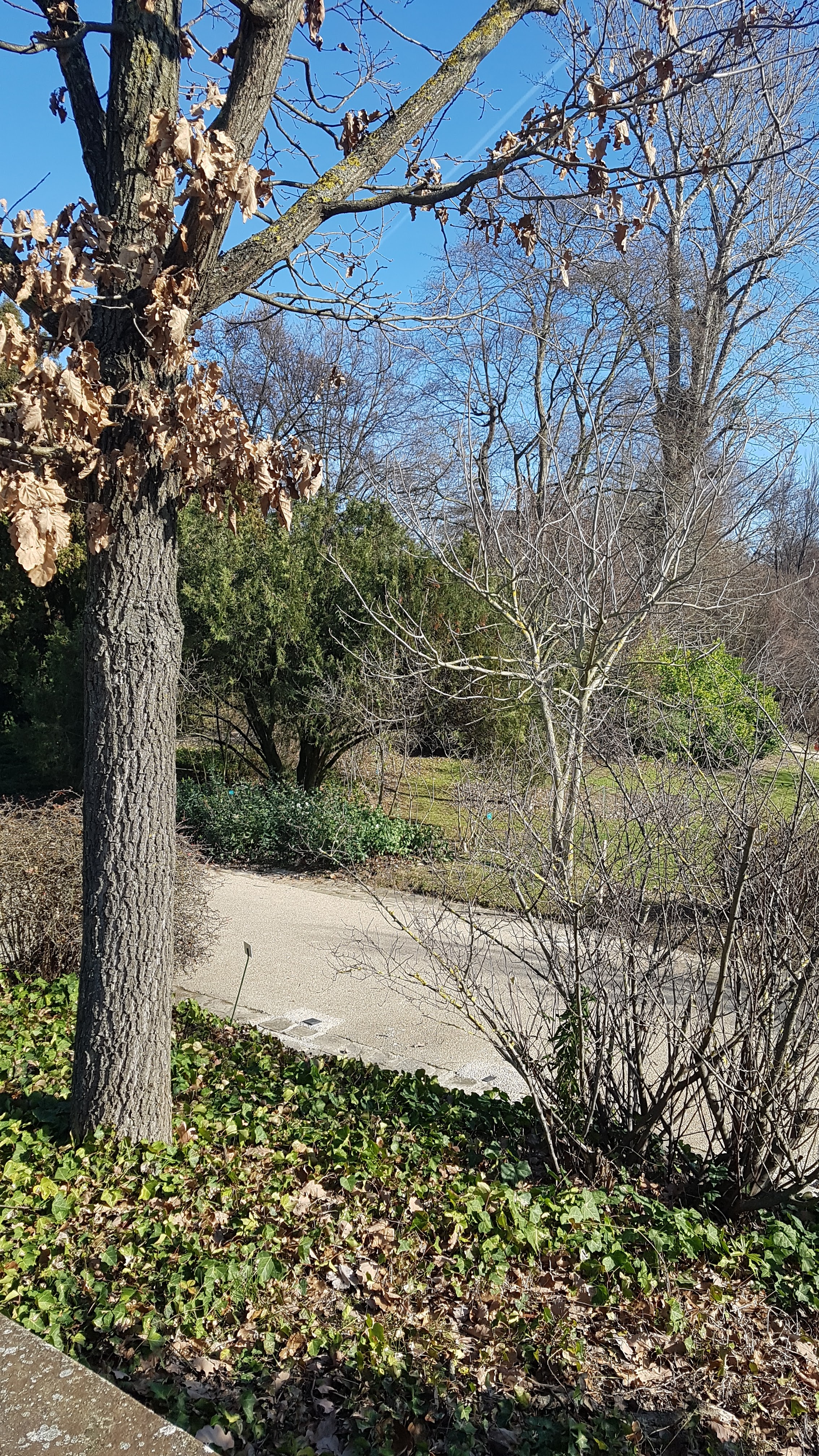Photo n° 3 de l'avis de Simon.. fait le 16/02/2019 à 12:23
