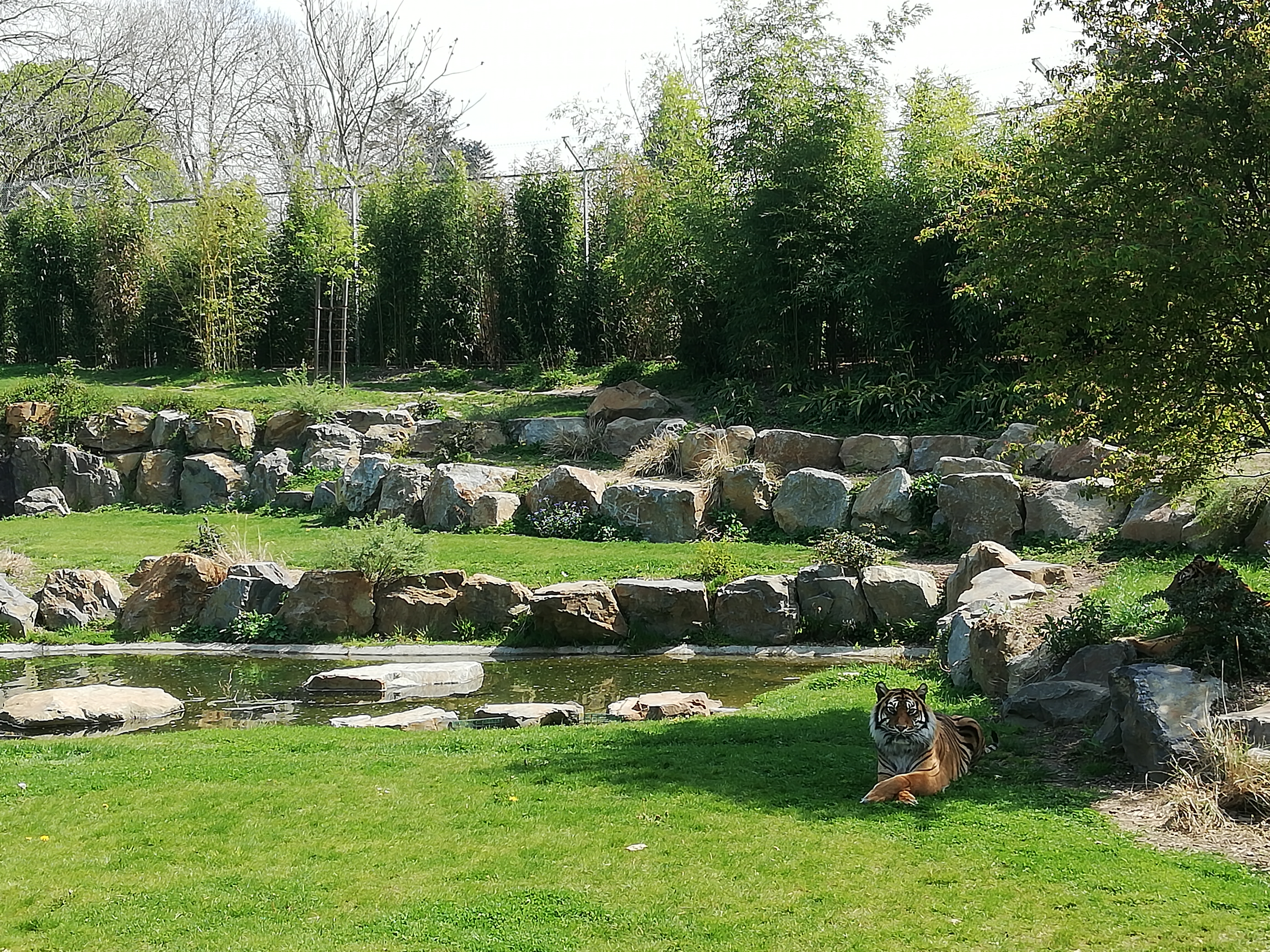 Photo n° 14 de l'avis de Jérôme.z fait le 21/04/2019 à 16:31