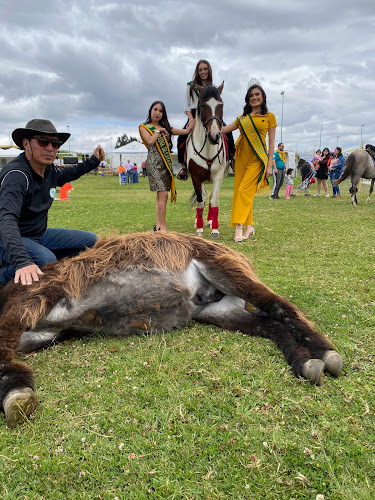 Opinii despre Granja Escuela Montessori GEM în Cayambe - Escuela
