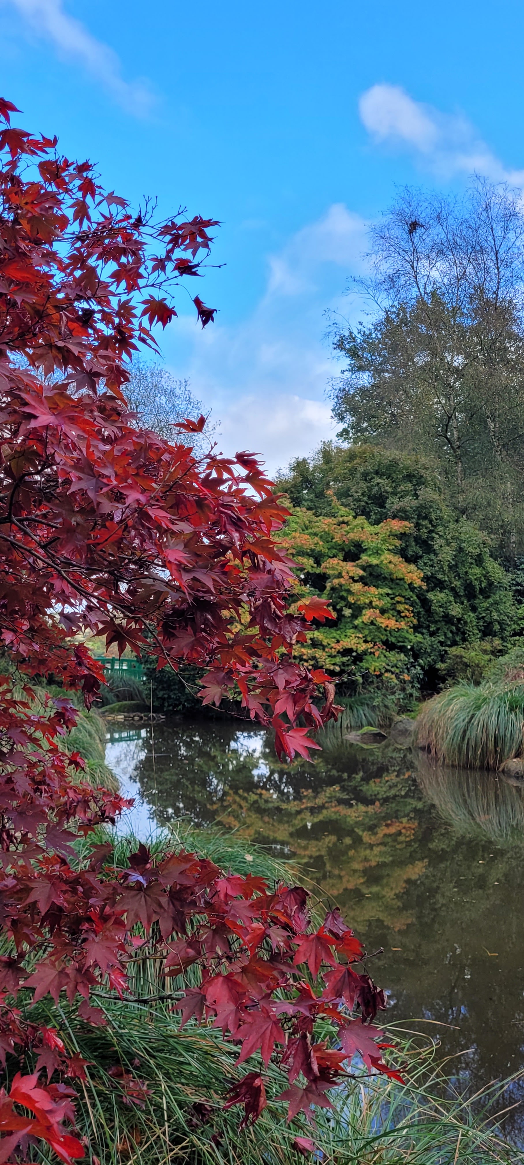 Photo n° 5 de l'avis de Tiphaine.a fait le 30/10/2022 à 16:28