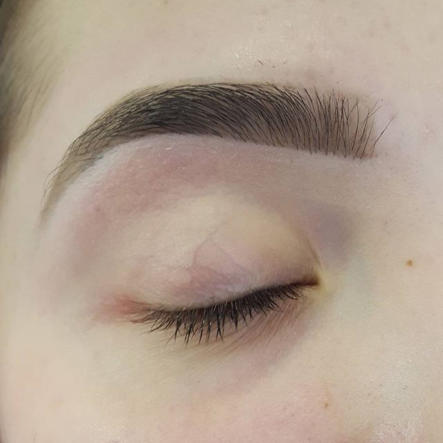 Brows By Dorothy 60190