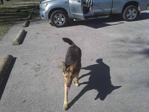 Memorial Park «Harrington Park», reviews and photos, 1815 S Cockrell Hill Rd, Duncanville, TX 75137, USA