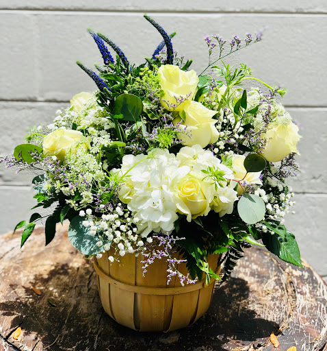 Florist «Hobby Hill Florist Inc», reviews and photos, 541 N Ridgewood Dr, Sebring, FL 33870, USA