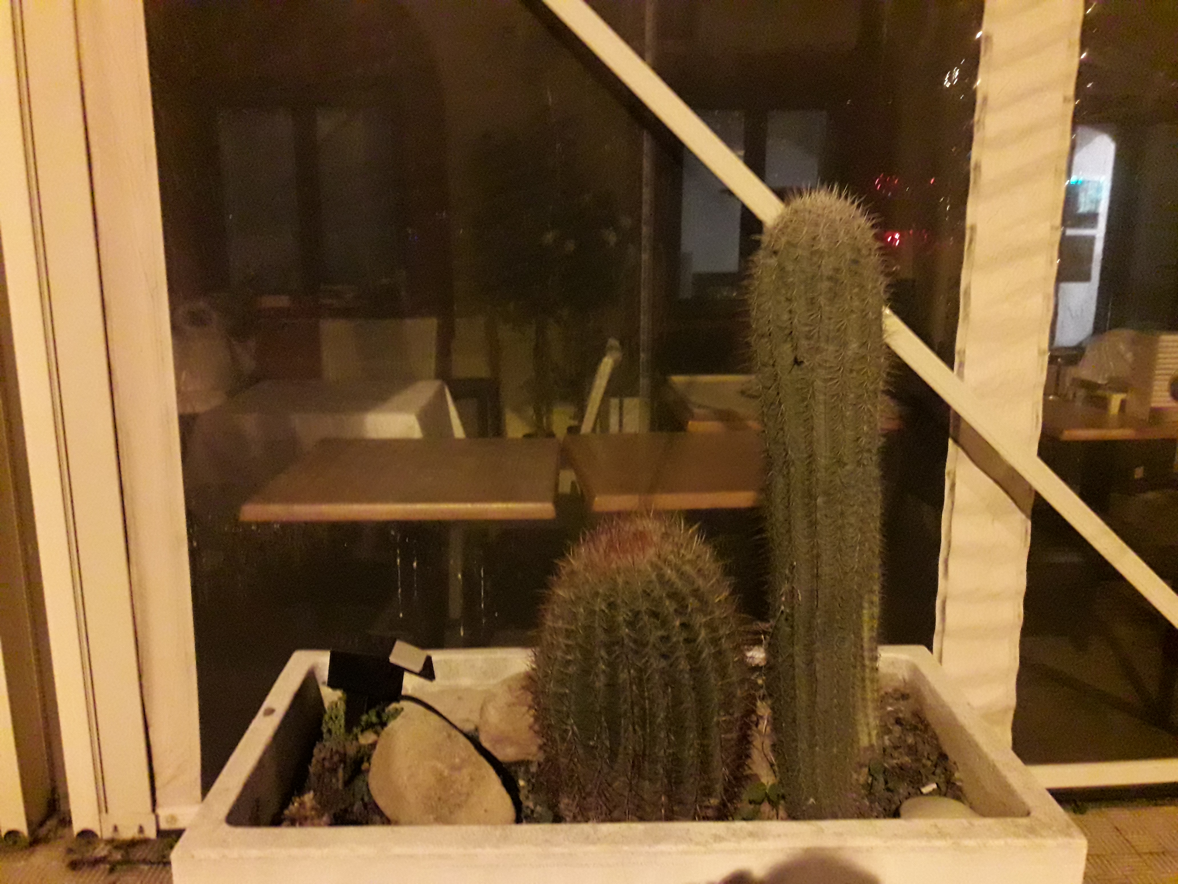 Photo n° 20 de l'avis de Stefe. fait le 25/02/2018 à 00:05