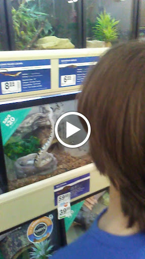 Pet Supply Store «PetSmart», reviews and photos, 3425 Amelia Dr, Orchard Park, NY 14127, USA