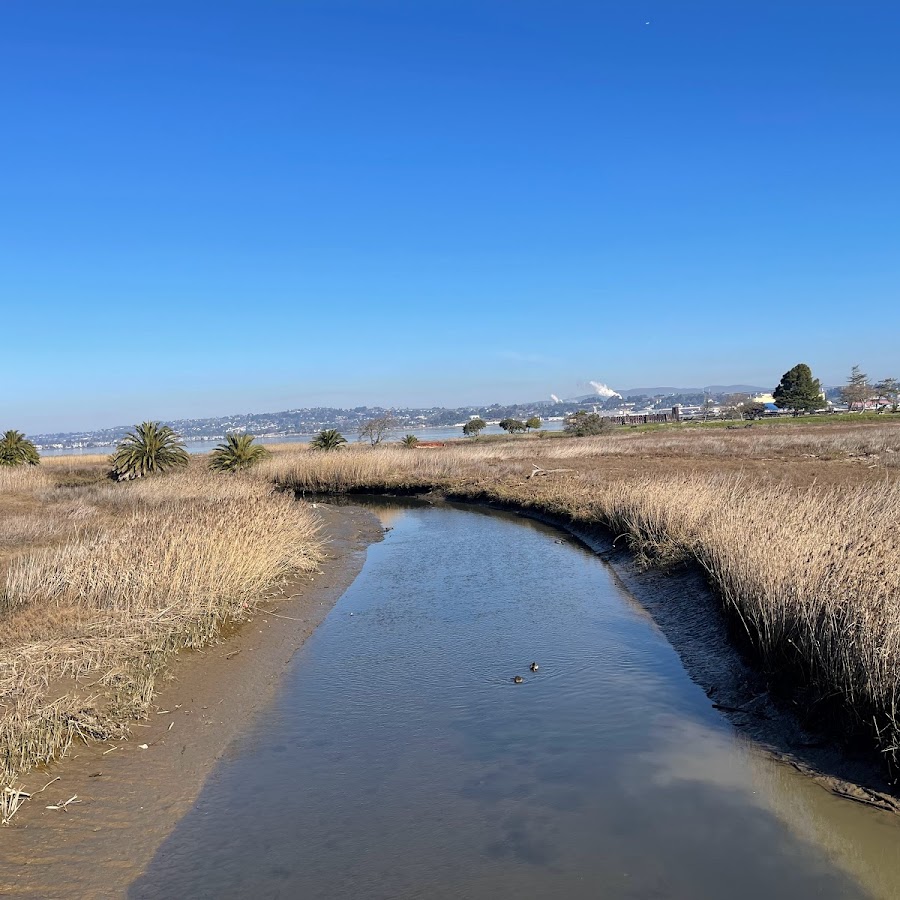 Radke Martinez Regional Shoreline Park