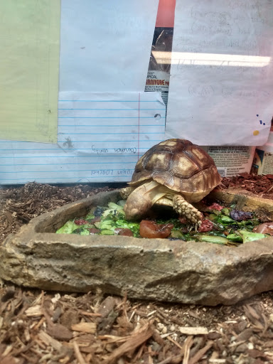 Pet Store «Pet Connection», reviews and photos, 1441 W State St, Alliance, OH 44601, USA