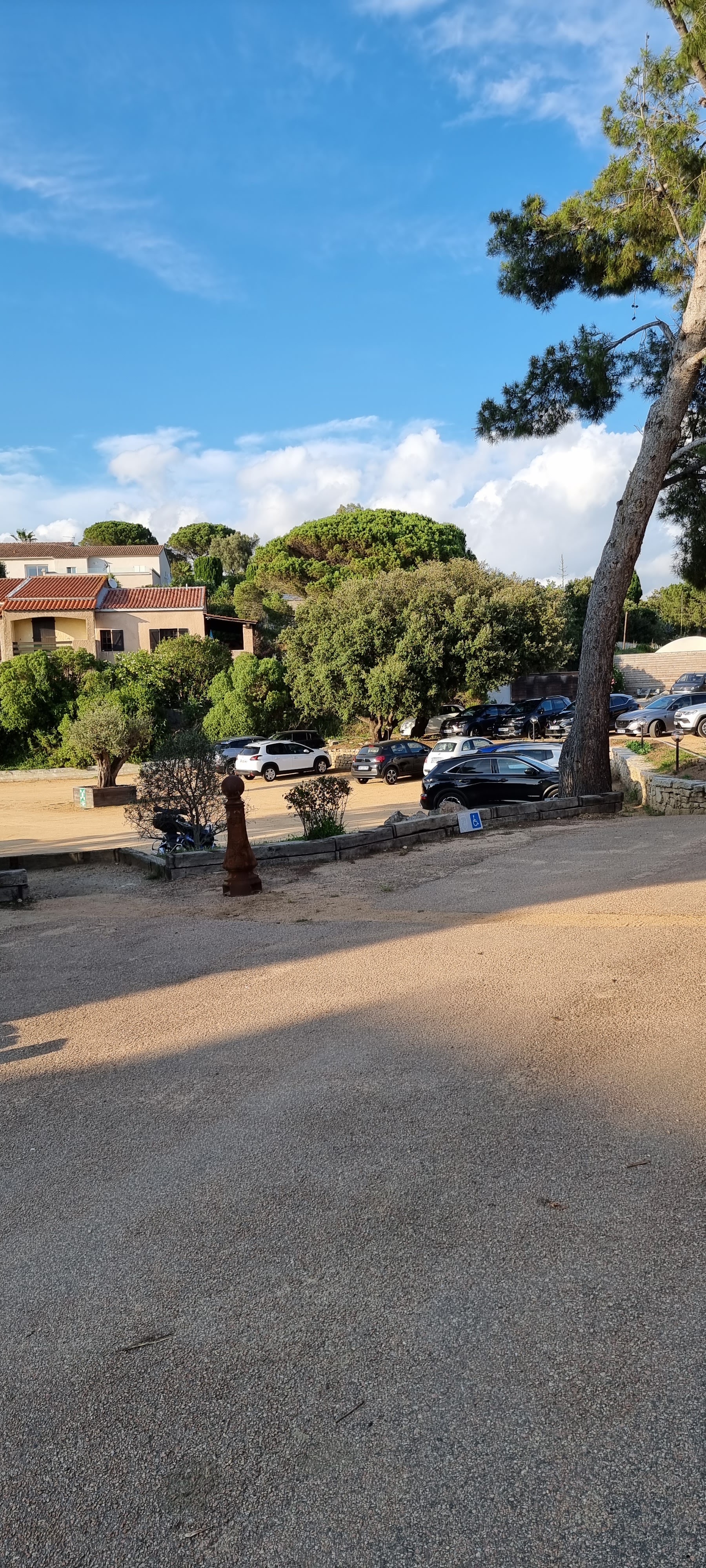 Photo n° 1 de l'avis de Francoise.o fait le 13/06/2023 à 07:03