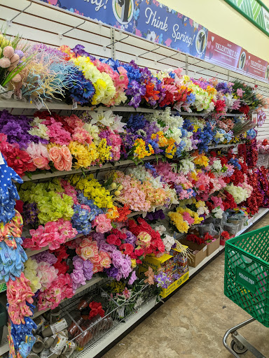 Dollar Store «Dollar Tree», reviews and photos, 423 US-46, Dover, NJ 07801, USA