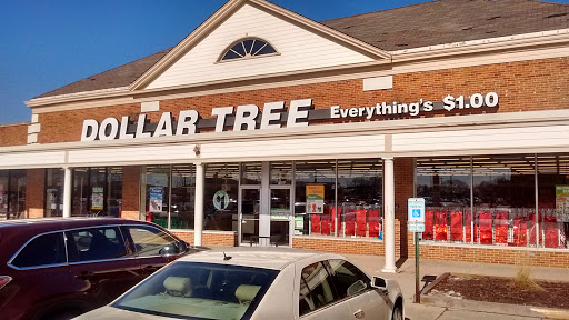 Dollar Store «Dollar Tree», reviews and photos, 1061 S York Rd, Bensenville, IL 60106, USA