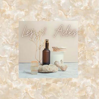 Les 2'ailes à Meaux