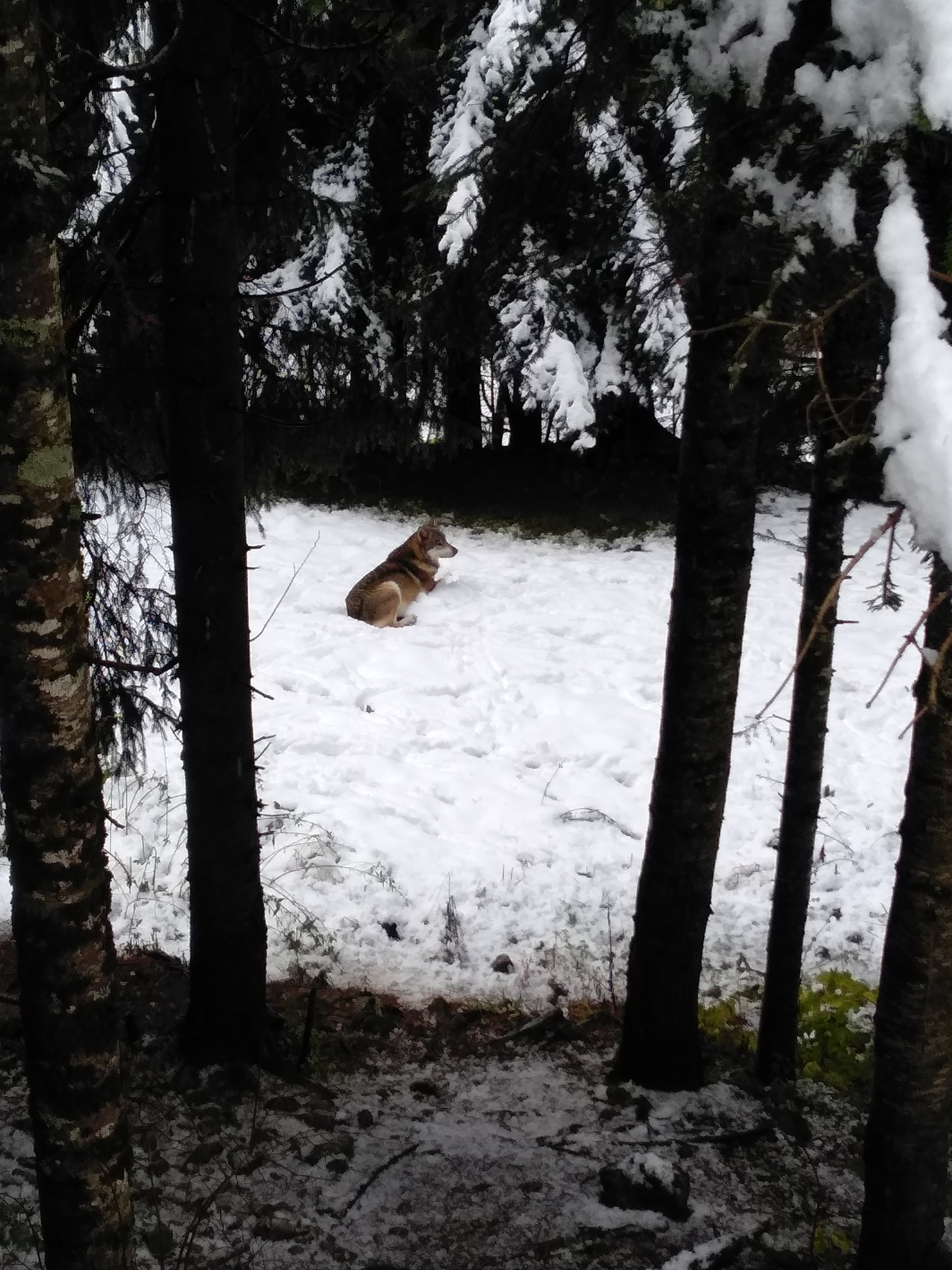 Photo n° 1 de l'avis de patrick.a fait le 03/11/2018 à 16:54
