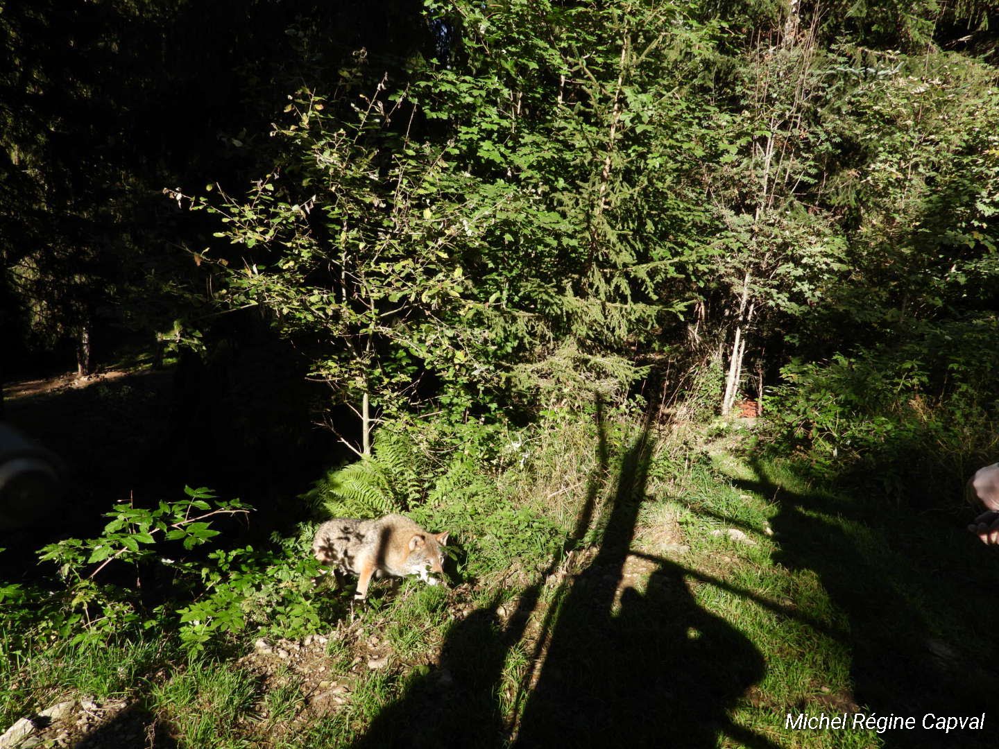 Photo n° 32 de l'avis de michel.a fait le 03/10/2019 à 13:25