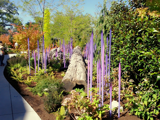 Park «Viretta Park», reviews and photos, 151 Lake Washington Blvd E, Seattle, WA 98112, USA