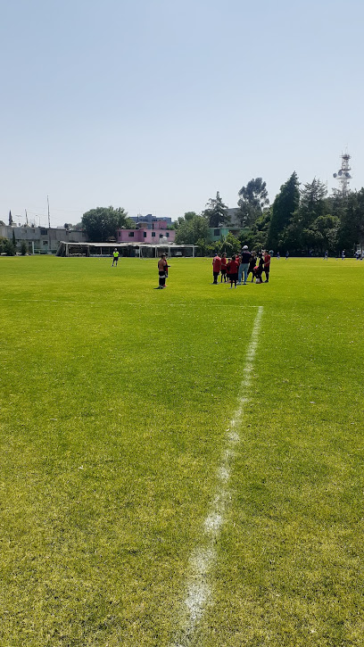 CAMPO DE FUTBOL PREMIER